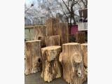 Пеньок Ø 30-35см -  h60, h70, h50 - 3шт , h45 - 3шт