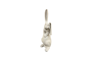 Заєць