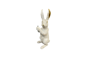 Заєць