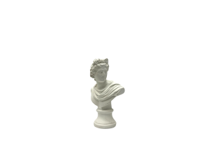 Бюст 22 см