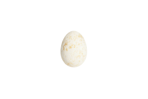 Великодній декор 6 см