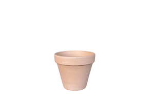 Горщик 10 см